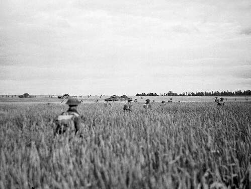 Epsom-3