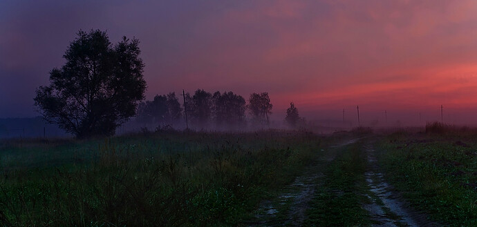 13735681_709644682507169_5185273461852167220_o