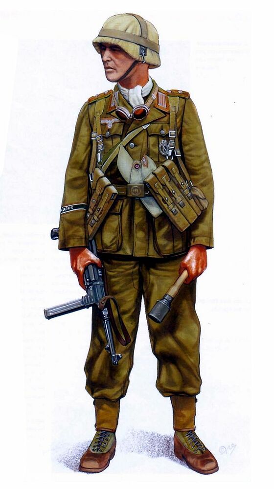 bf7d6a23fe77edfde7ad4b40690014fa--german-uniforms-military-uniforms