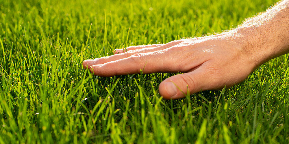 on-the-need-to-touch-grass