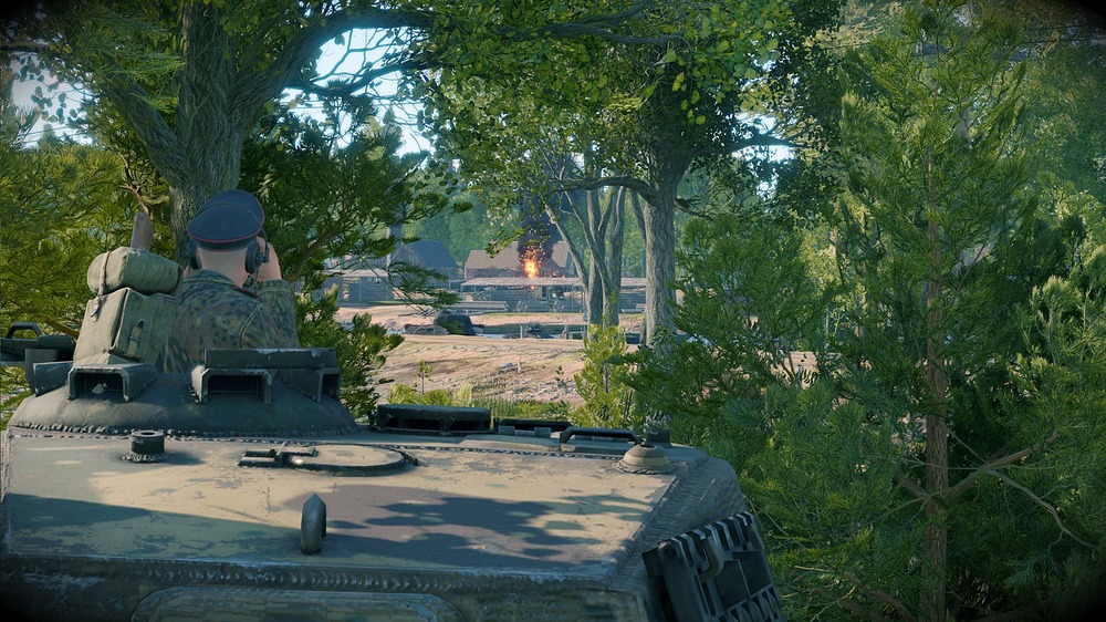 tiger_2_h_06