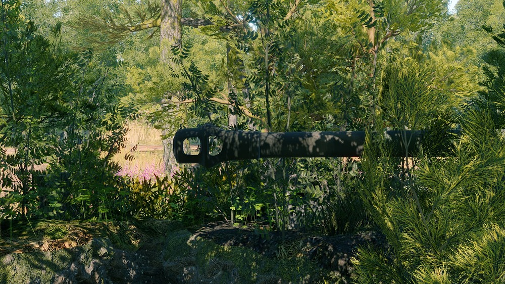 tiger_2_h_02