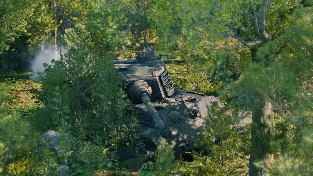 tiger_2_h_04