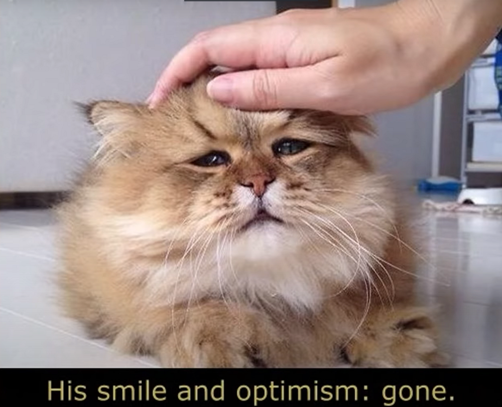sad