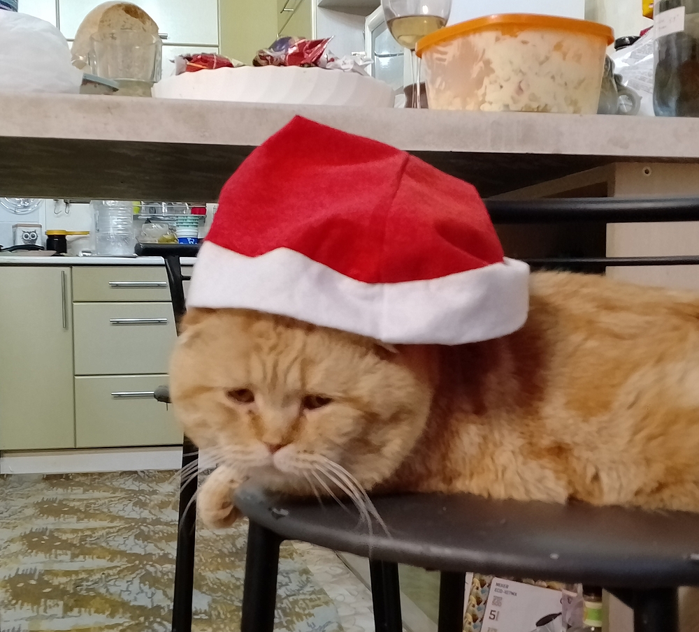 upload_2025_01_11_03_18_33_624