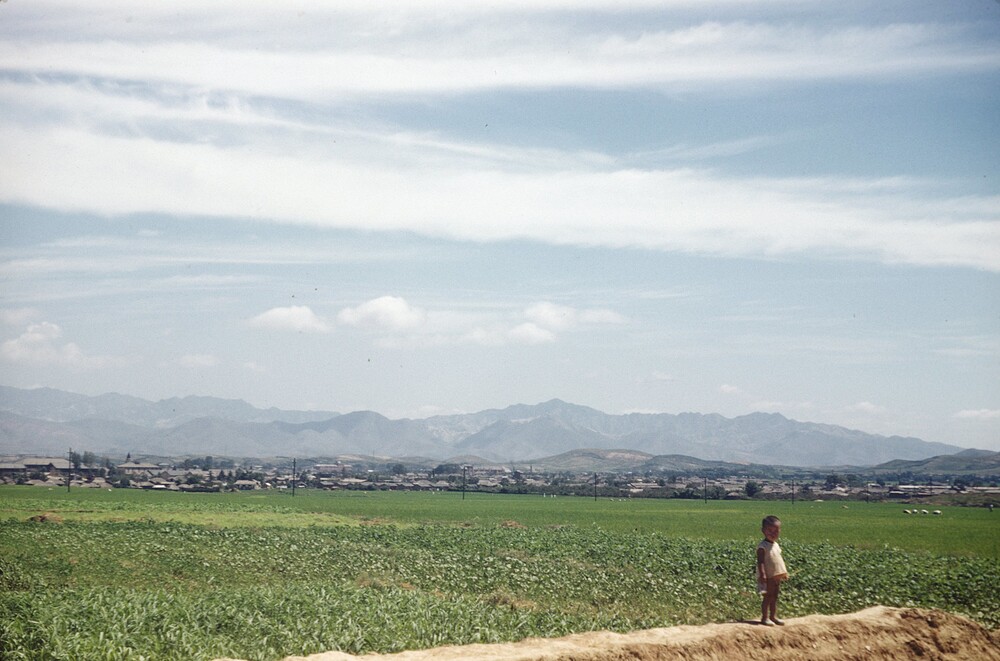 15520186564_9933d96466_k