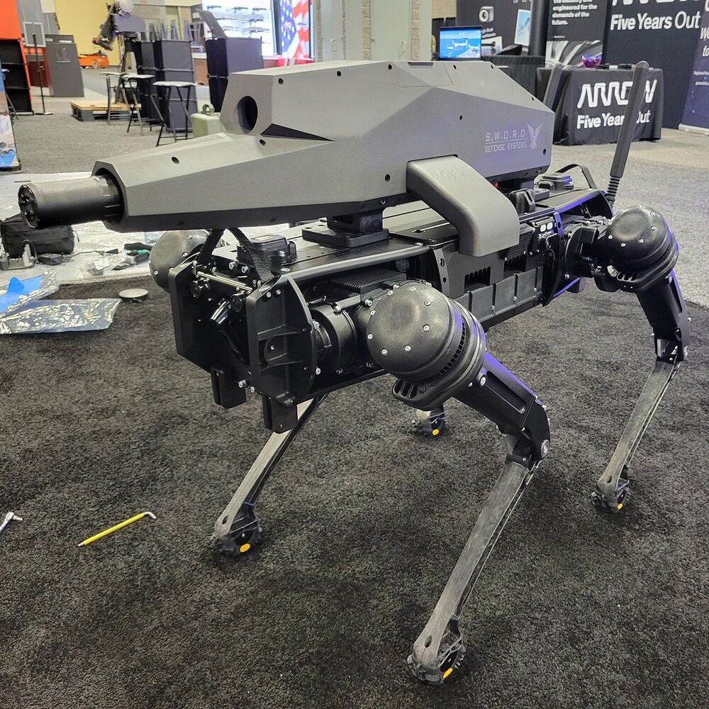 sword_spur_robot_dog_gun