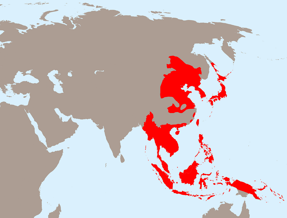 Japanese_Empire_-_1942.svg