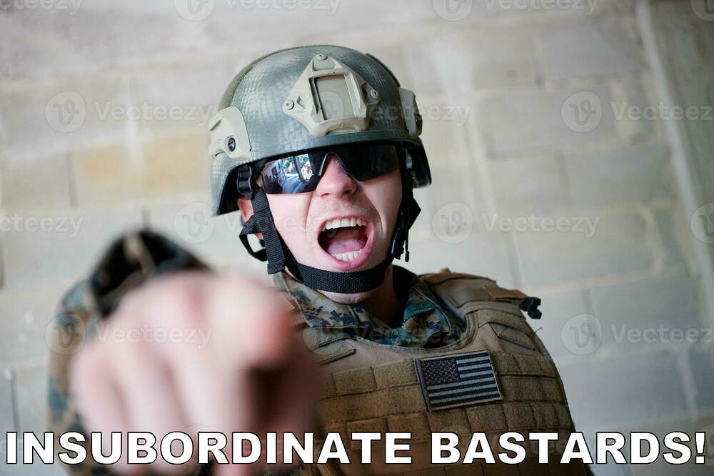 insubordinate bastard