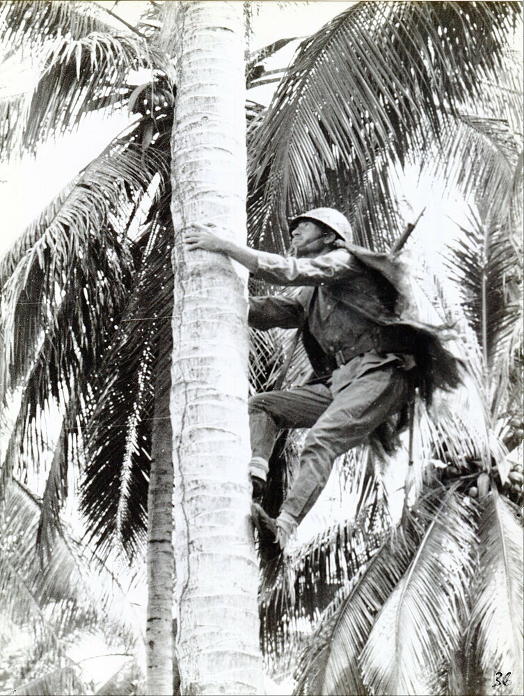marine-climbing-tree-guadalcanal-circa-1942-japanese-sniper-suit-1