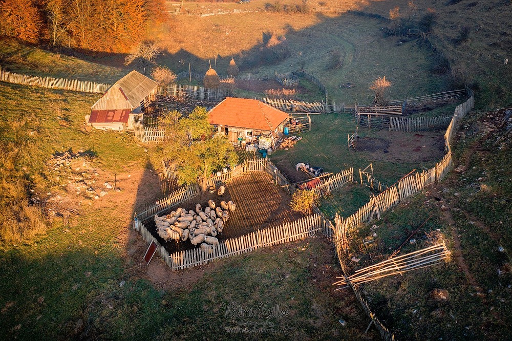 3900245