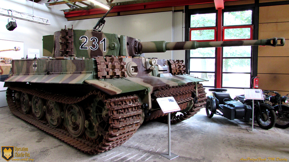 OCF_tiger4