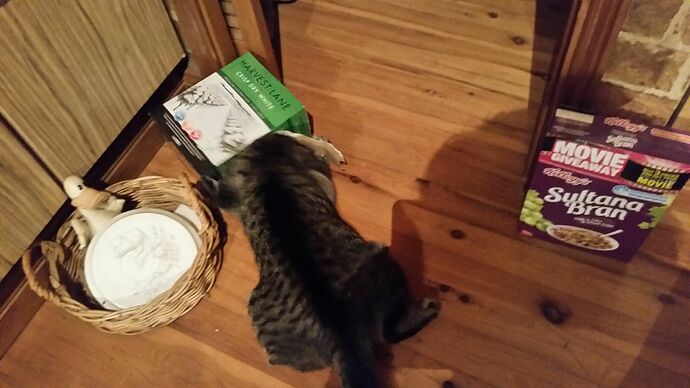 Buddy got stuck