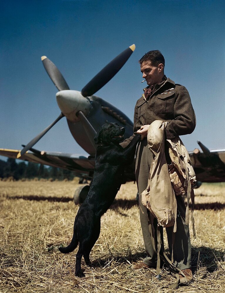 Wing_Commander_James_E_'johnny'_Johnson_at_Bazenville_Landing_Ground,_Normandy,_31_July_1944_TR2145