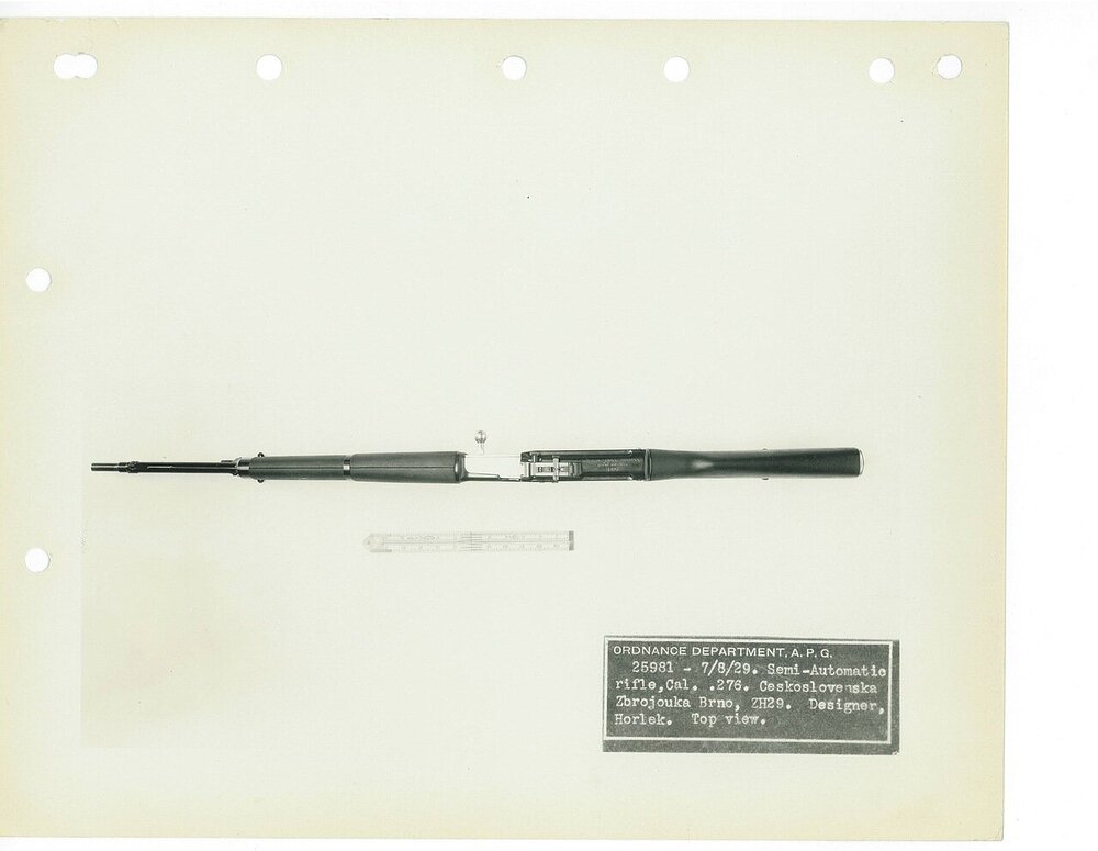 00 ZH 29 (41)
