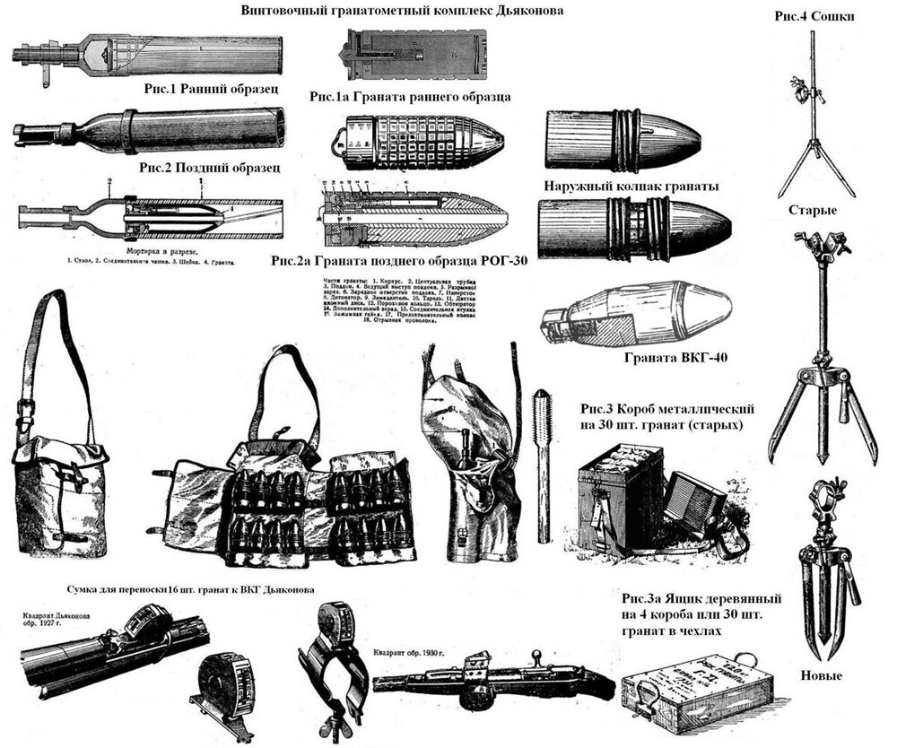 scale_1200 (14)