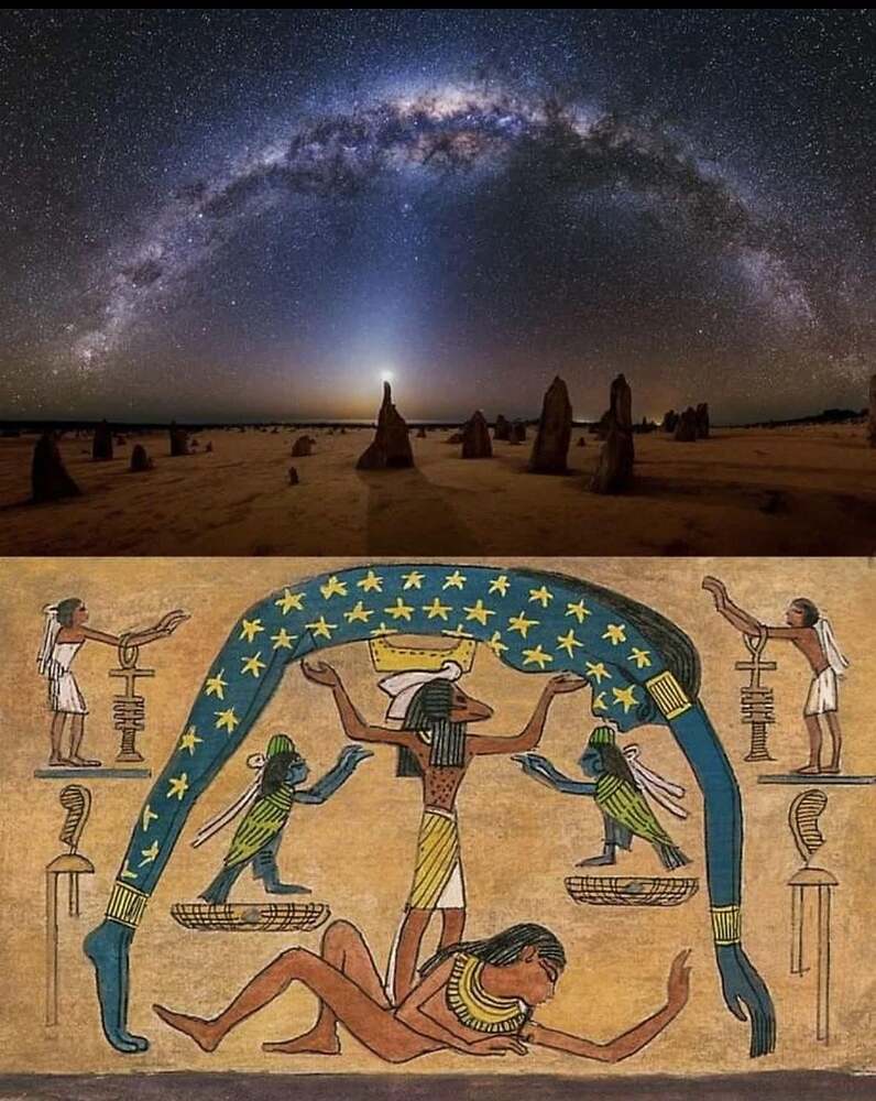 ive-been-reading-opinions-for-and-against-nut-representing-v0-b5l1d265f22g1