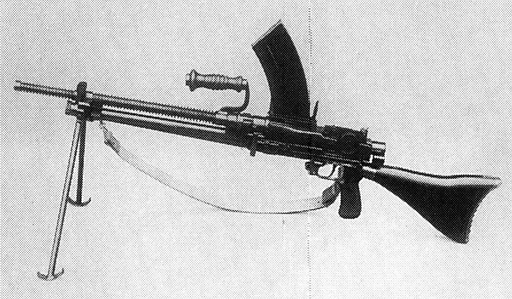 scale_1200 (38)