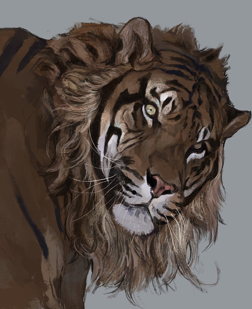 E1HpsbtXIA4dSKS.jpg_large