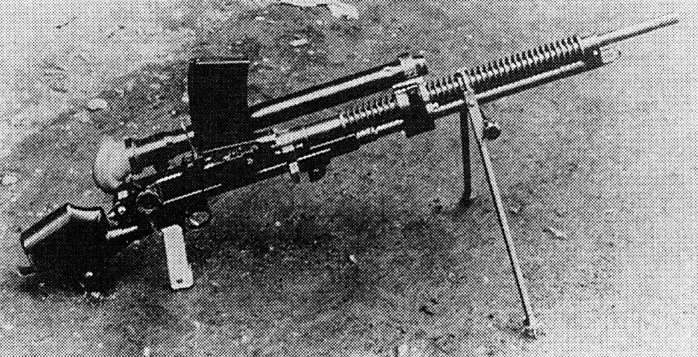 scale_1200 (45)