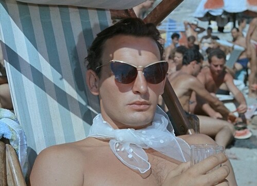 604075-polosatyi-reis