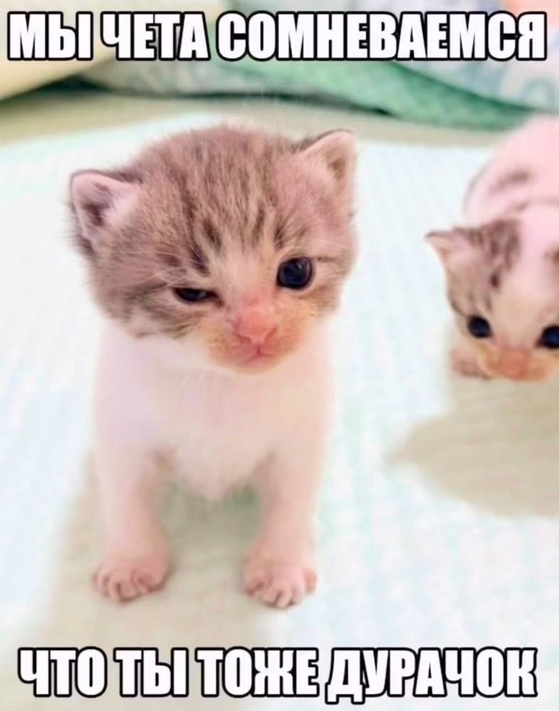 Screenshot_20260320_233626_com.vkontakte.android_edit_35763474078917