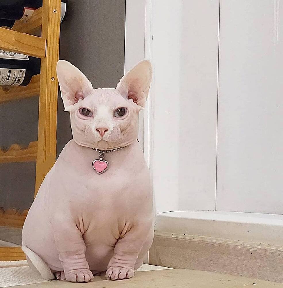 IMG_20240516_123559_418