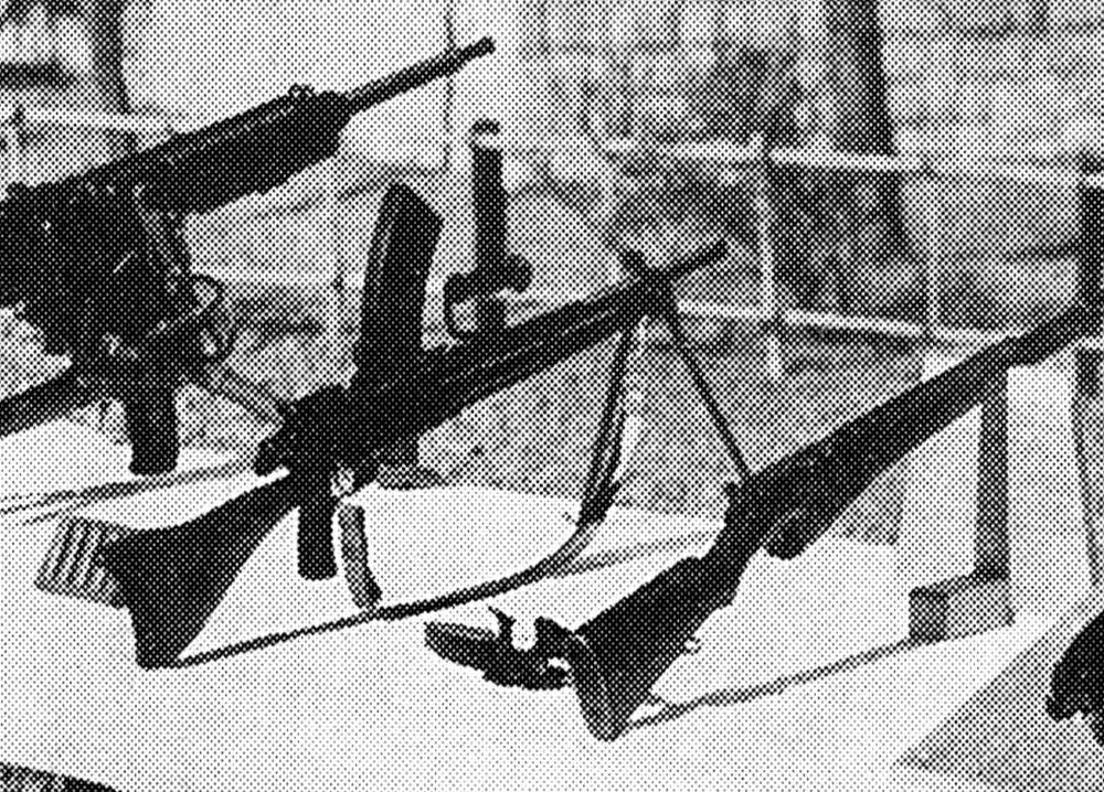 scale_1200 (46)