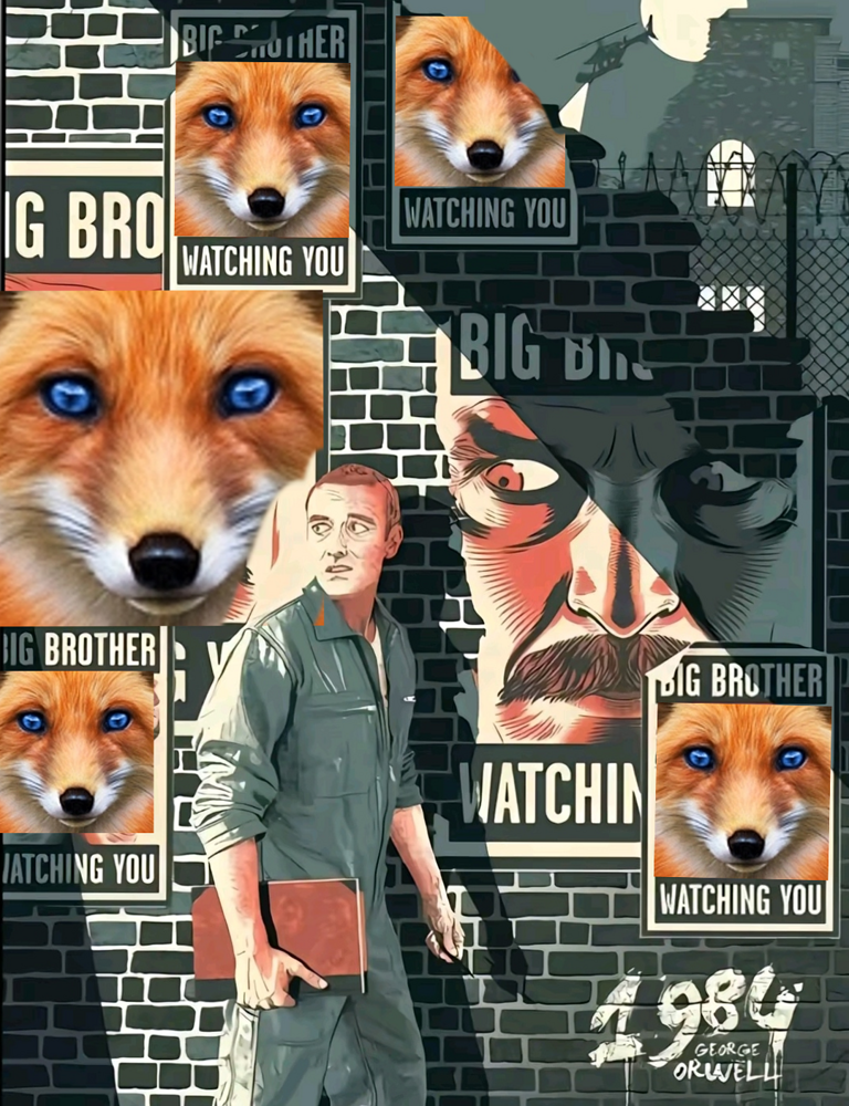 BackgroundEraser_20250122_154732355