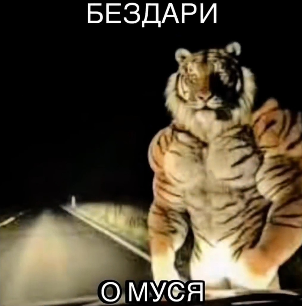 Screenshot_20260307_012442_com.vkontakte.android_edit_847202070099370