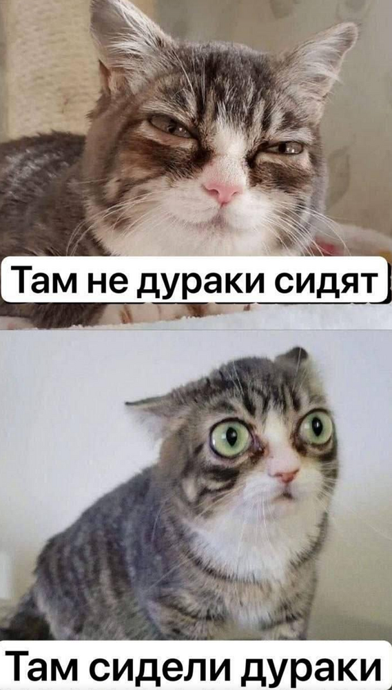 17902501439210650474