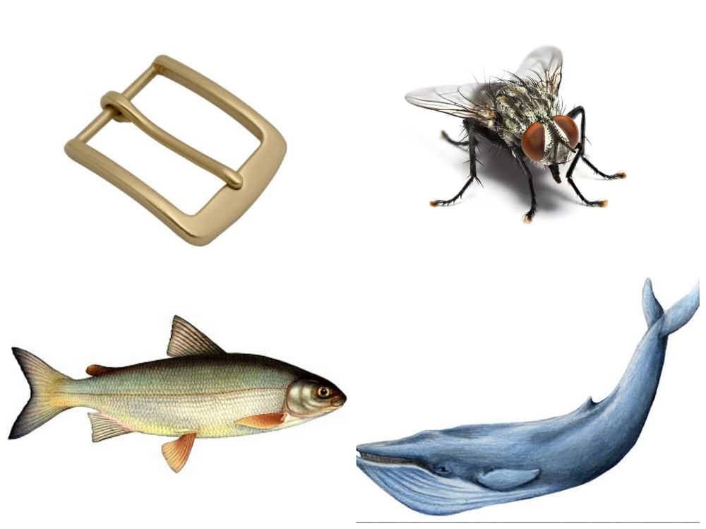Collage_20251013_230030