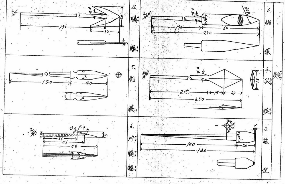 scale_1200 (28)