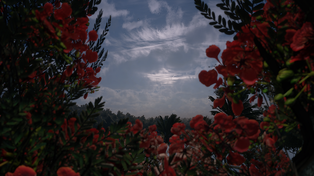 shot_2025.07.19_16.04.33