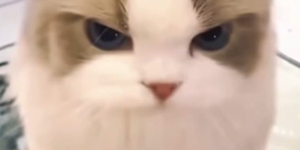 Screenshot_20251207_150449