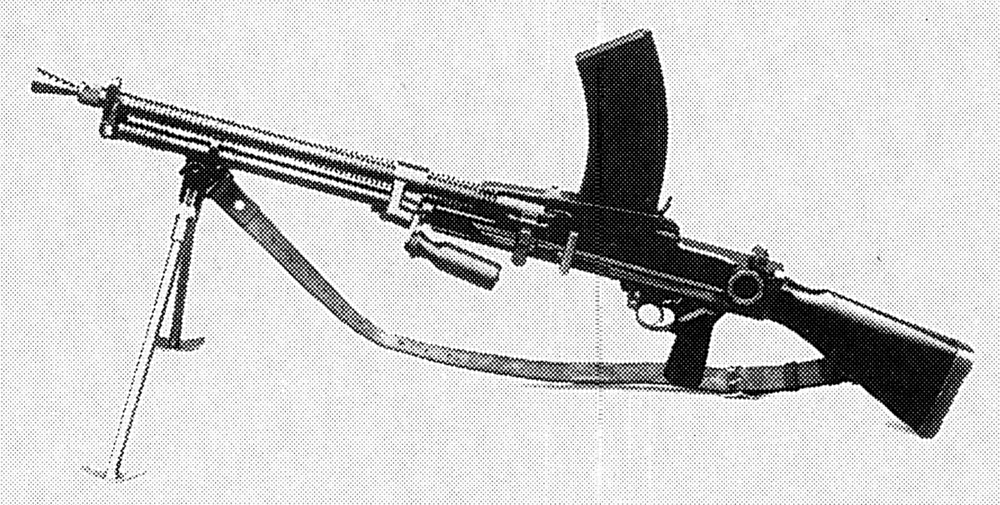scale_1200 (41)