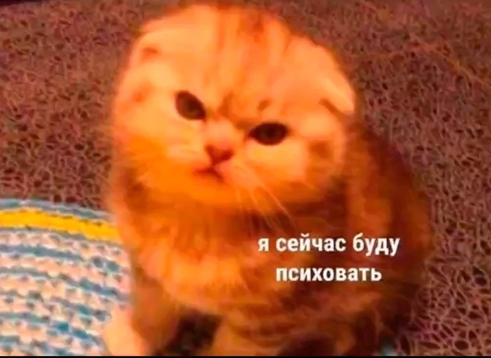 Screenshot_20260302_114944