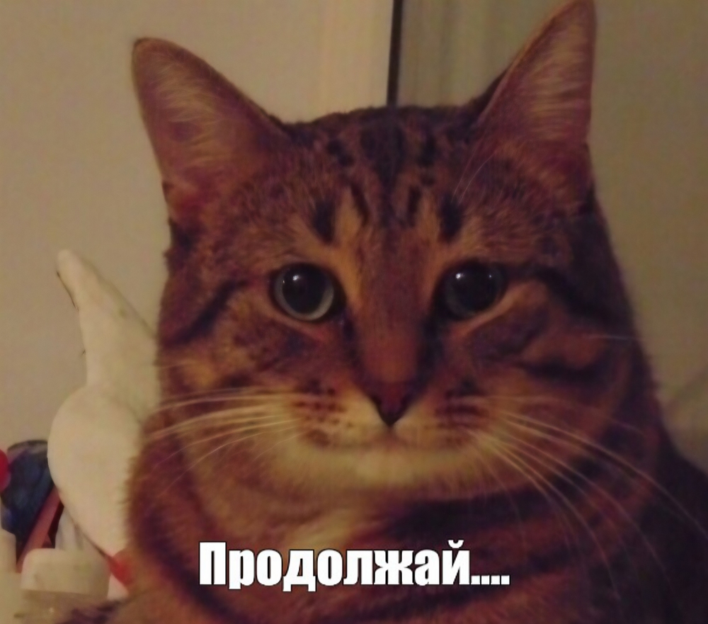 5fde97f81f99b147917997de5e81ccc3