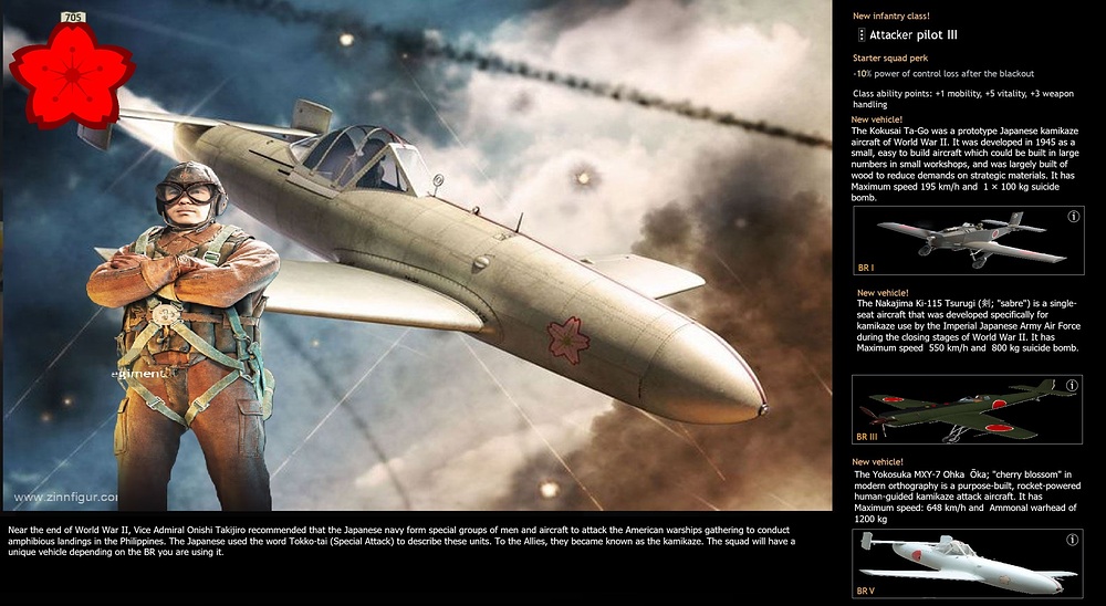 Sucidal Pilot