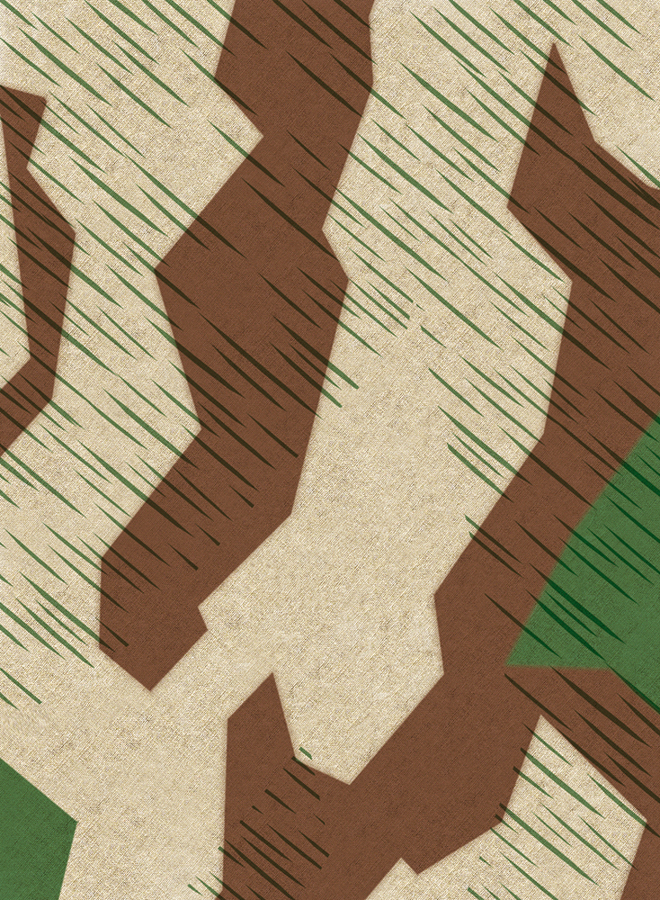 17767980880914020010463864043785