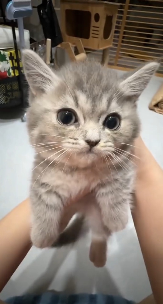 Screenshot_20250803_140449_com.vkontakte.android_edit_889876040761086