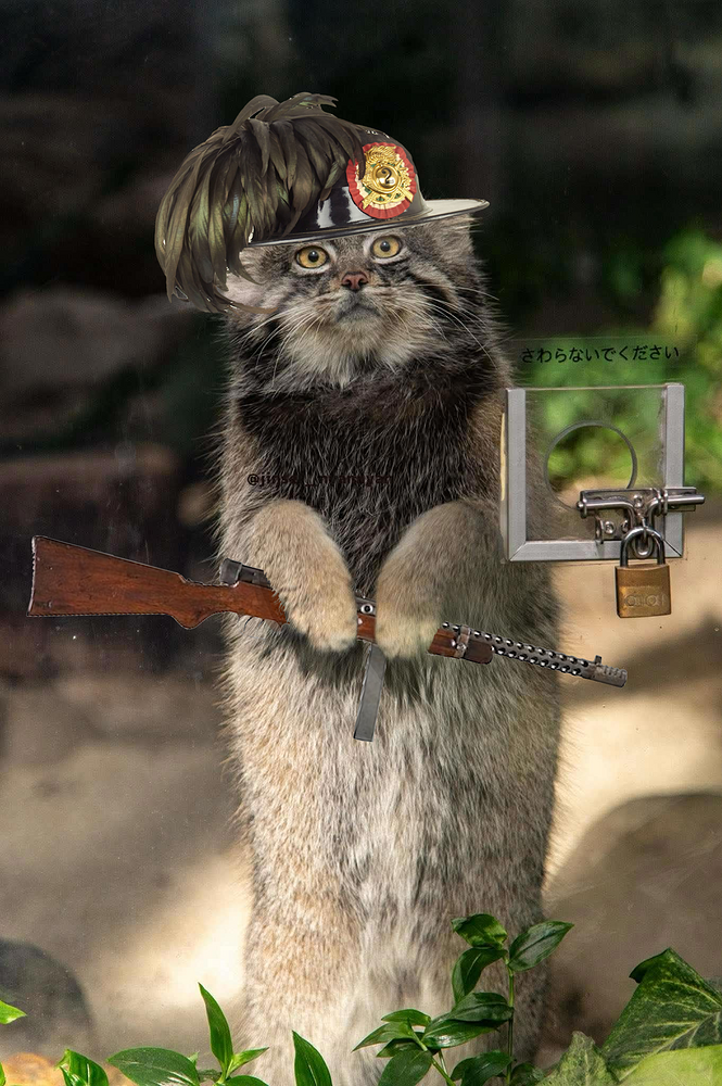 italymanulUntitled