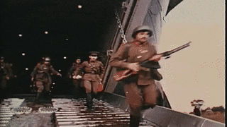 MajesticFirstIndianspinyloach-max-1mb