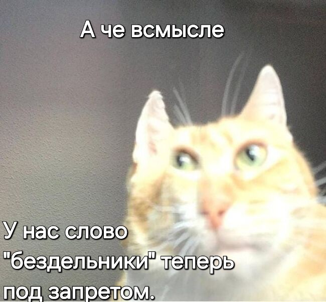 16865864001383334