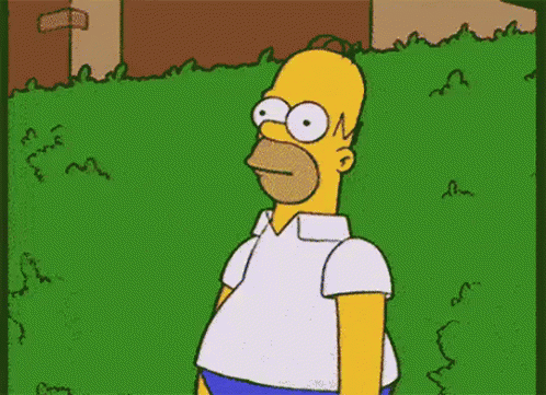 homer-simpson