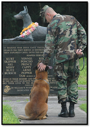 wardogmemorial