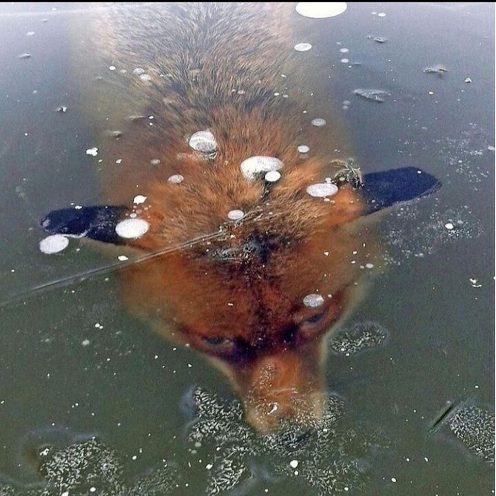 20220828_120401