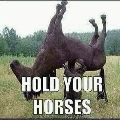hold-your-horses