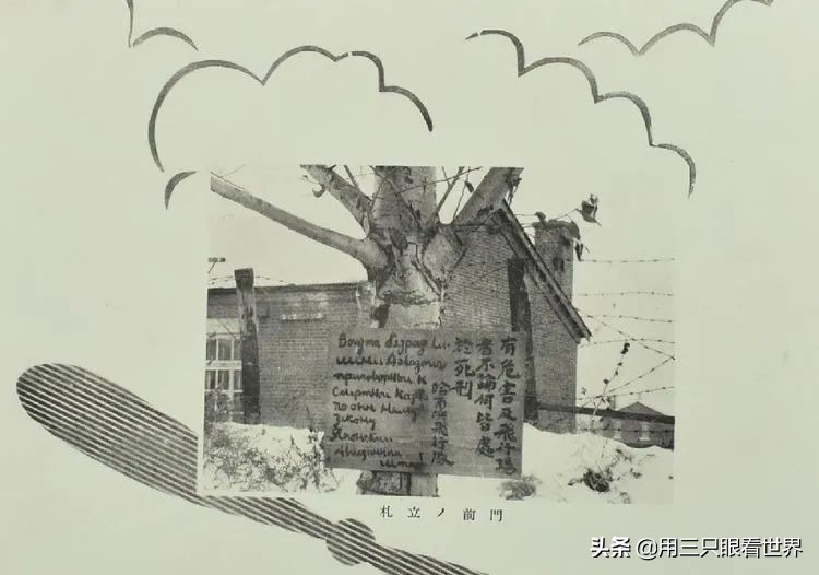 17645f26e3994033842551b08242036f