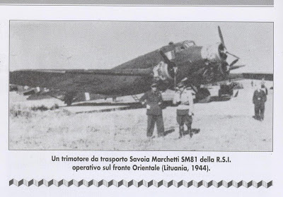Trmotore da trasporto SM 81 In Lituania